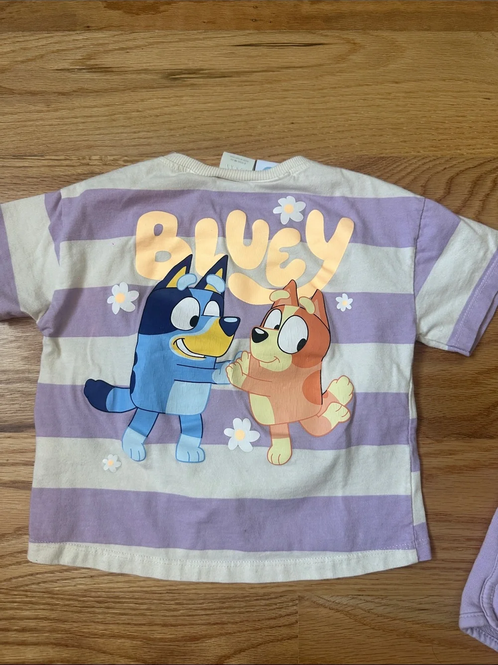Zara Lavender and Cream Striped Bluey Tee with Lavender Shorts
